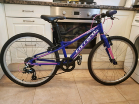 carrera saruna 24 purple